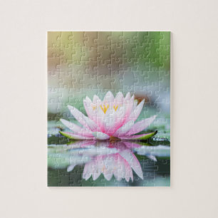 LOTUS - ZEN-BUDDHISMUS