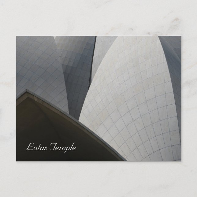 Lotuskleider Postkarte (Vorderseite)