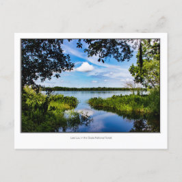 Lou Lake Postkarte