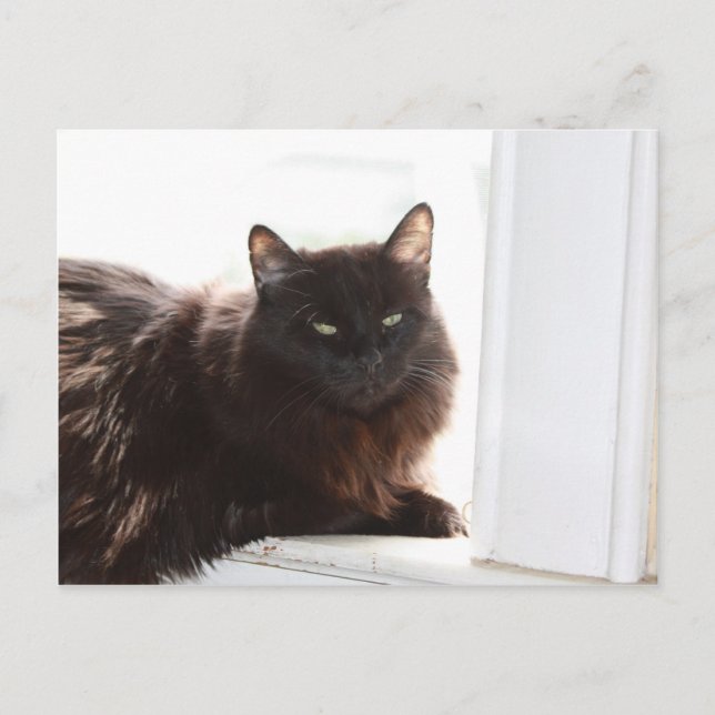 Louie Postkarte (Vorderseite)