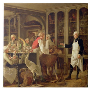 Louis Jean Marie Daubenton (1716-99) in seinem Fliese
