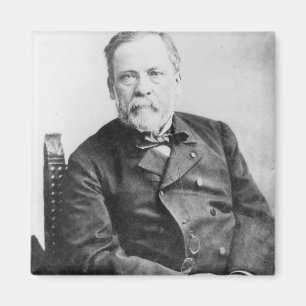 Louis Pasteur Magnet