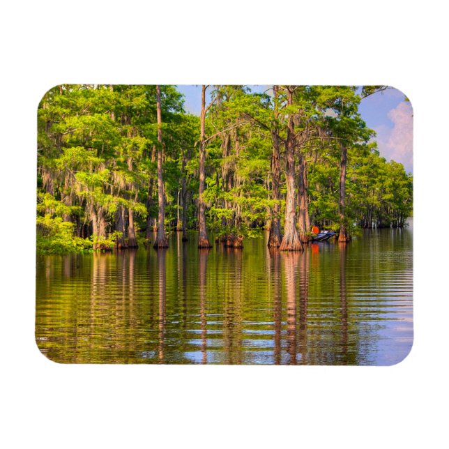 Louisiana Bayou Foto Magnet (Horizontal)