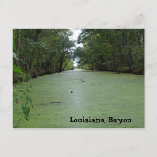 Louisiana Bayou Postkarte