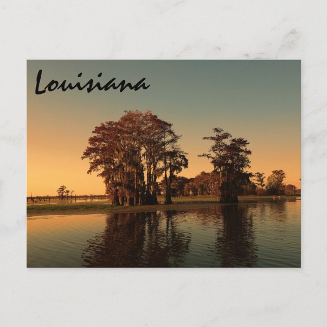 Louisiana bayou postkarte (Vorderseite)