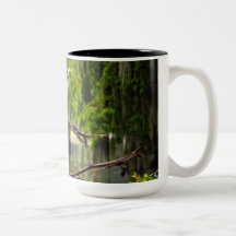 Louisiana Bayou