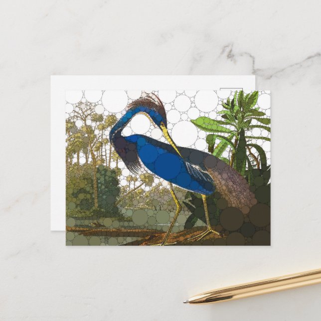 Louisiana Blue Heron von After John James Audubon Postkarte (Vorderseite/Rückseite Beispiel)