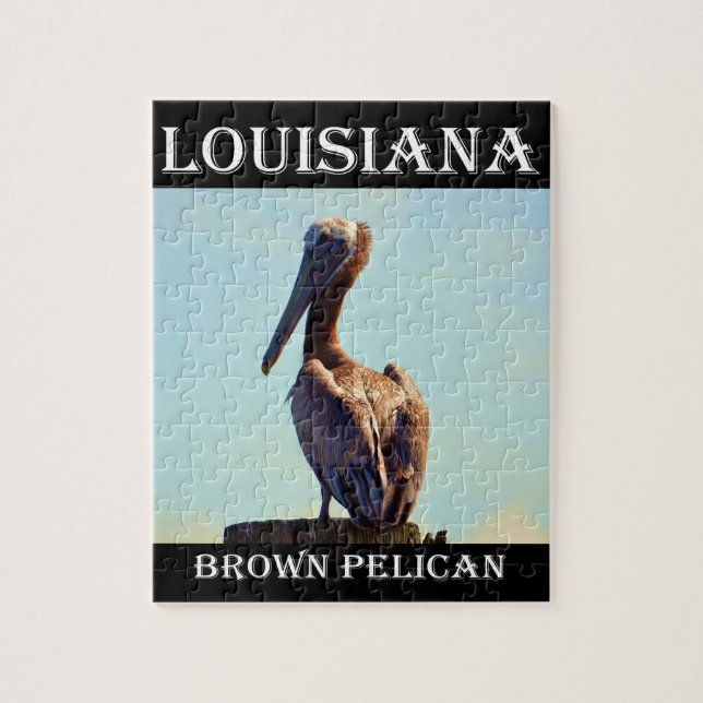 Louisiana Brown Pelican 2.jpg (Vertikal)