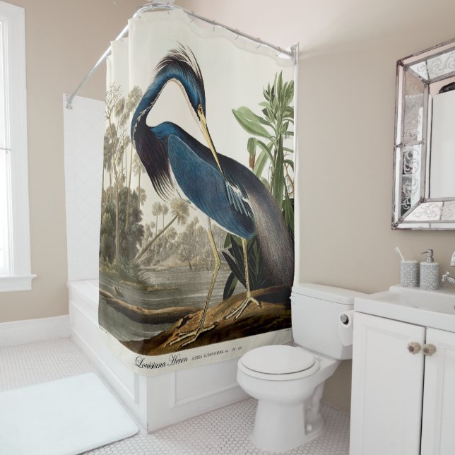 Louisiana Heron, 1834, From the Birds of America Duschvorhang (Beispiel)