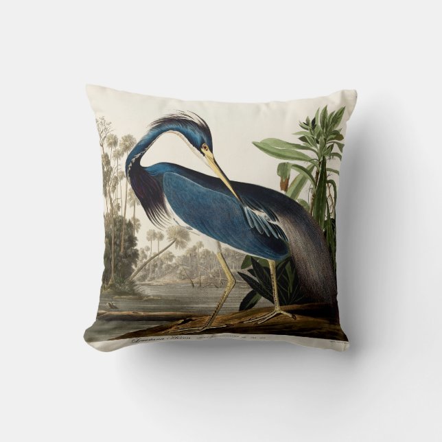 Louisiana Heron, 1834, From the Birds of America Kissen (Vorderseite)