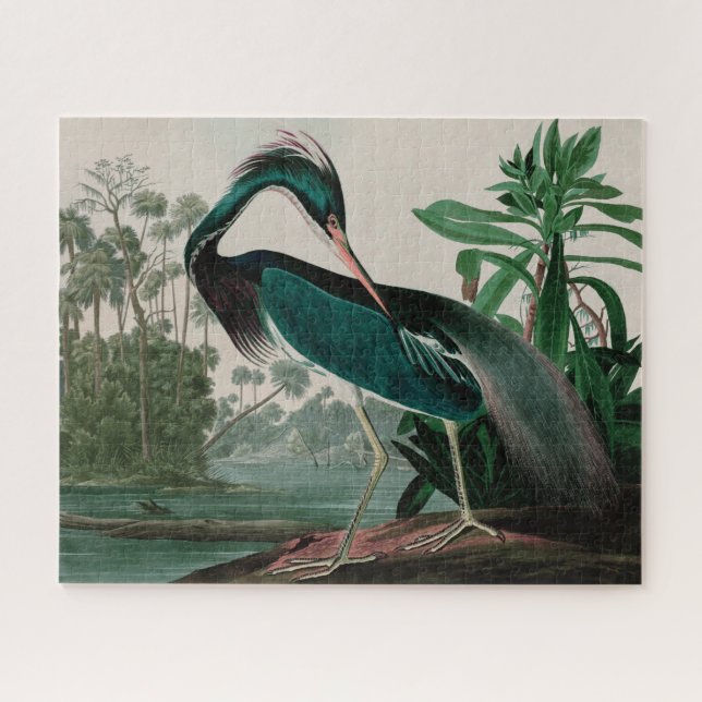 Louisiana Heron Birds of America Audubon Print (Horizontal)