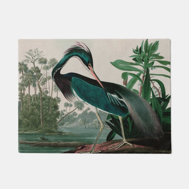 Louisiana Heron Birds of America Audubon Print Fußmatte (Vorderseite)