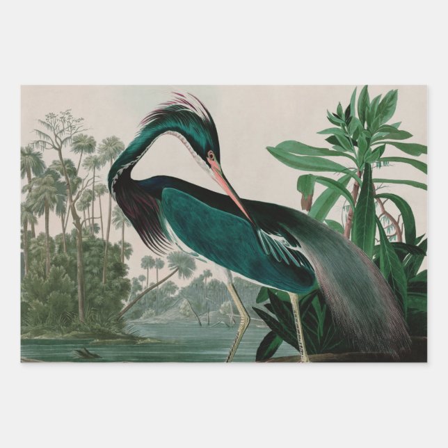 Louisiana Heron Birds of America Audubon Print Geschenkpapier Set (Vorderseite)