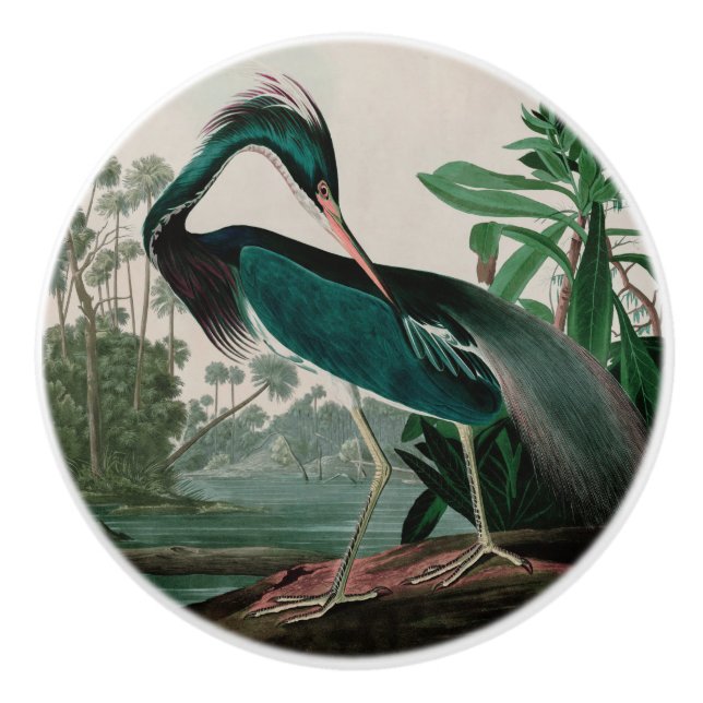 Louisiana Heron Birds of America Audubon Print Keramikknauf (Vorderseite)