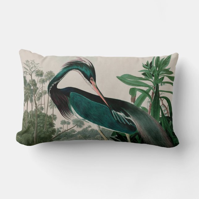 Louisiana Heron Birds of America Audubon Print Lendenkissen (Vorderseite)