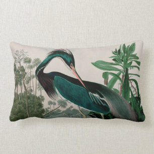 Louisiana Heron Birds of America Audubon Print Lendenkissen