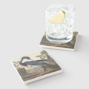 Louisiana Heron von Audobon Stone Untersetzer