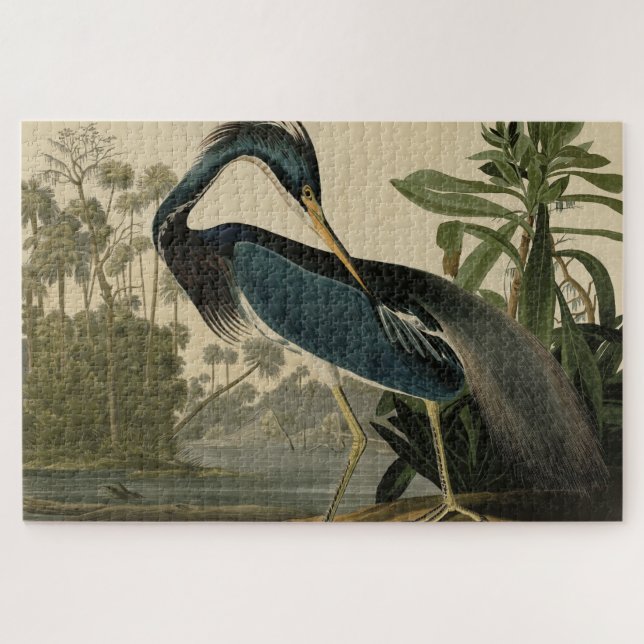 Louisiana Heron - von Audubons Vögeln Amerikas (Horizontal)