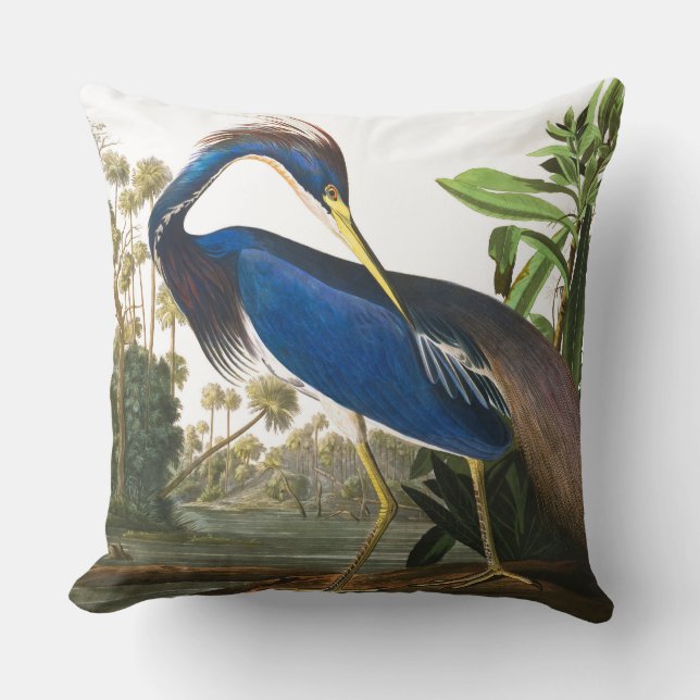 Louisiana Heron von John James Audubon Kissen (Vorderseite)