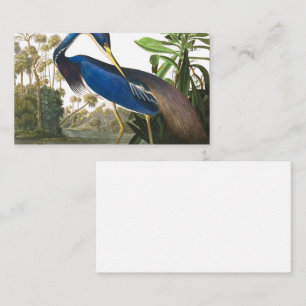 Louisiana Heron von John James Audubon Visitenkarte