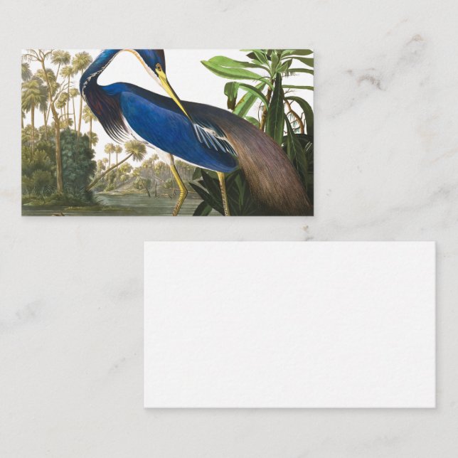 Louisiana Heron von John James Audubon Visitenkarte (Vorne/Hinten)