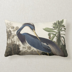 Louisiana Heron von Vögeln Amerikas Lendenkissen