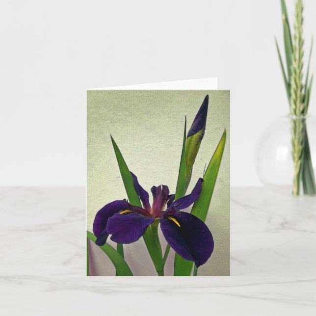 Louisiana-Iris-Anmerkungs-Karte Karte (Vorderseite)