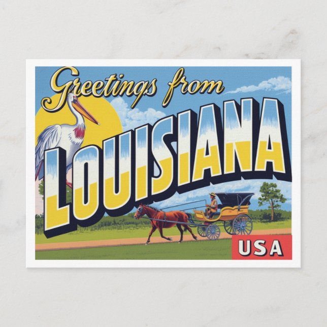 Louisiana Pelican Carriage Bayou Postkarte (Vorderseite)