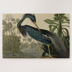 Louisiana-Reiher - aus Audubons Birds of America