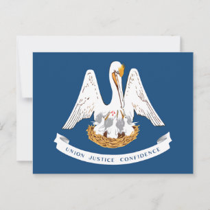 Louisiana Staatsflagge Pelikan Staatsmotto Souveni Postkarte