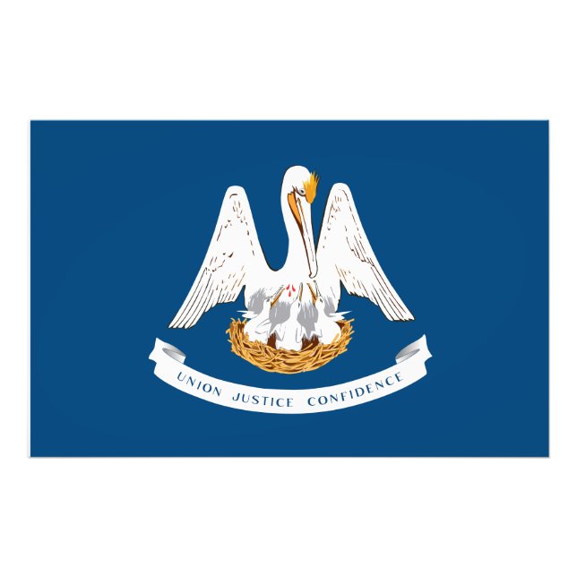 Louisiana Staatsflagge USA Fotodruck (Vorne)