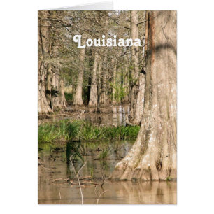 Louisiana-Sumpf