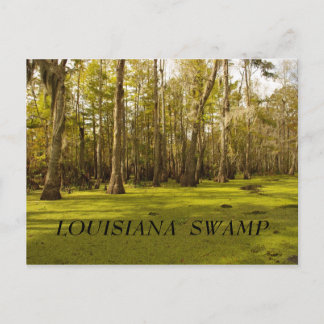 Louisiana-Sumpf (LA), LOUISIANA-SUMPF Postkarte