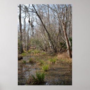 Louisiana-Sumpfplakat Poster