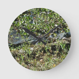 Louisiana Swamp Alligator Jean Lafitte Nah Up Runde Wanduhr