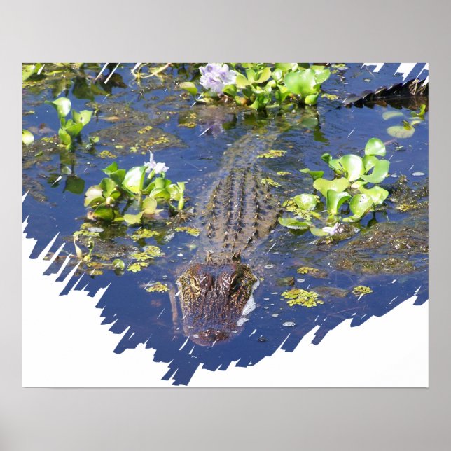 Louisiana Swamp Gator Hunter Poster (Vorne)