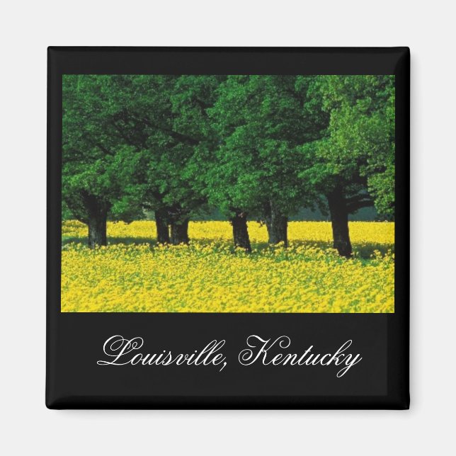 Louisville, Kentucky Magnet (Vorne)