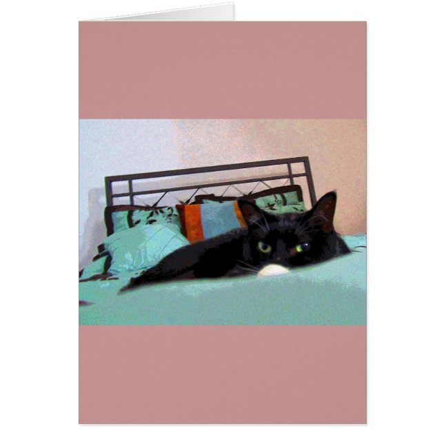 Loundge Lucy Comic Book (Devant)