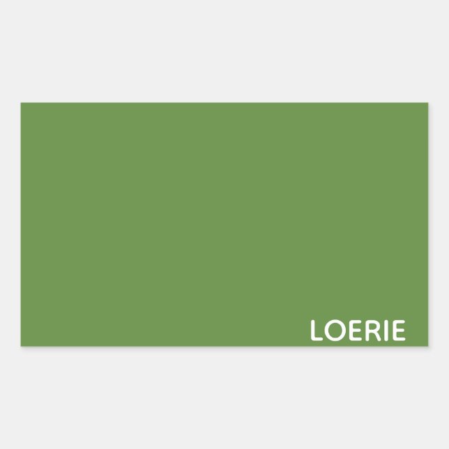 Lounge grüne Farbe Rechteckiger Aufkleber (Vorderseite)