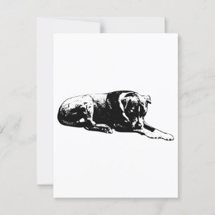 Lounge Hund Postkarte