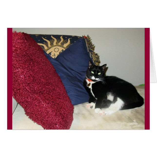 Lounging Lucy (Vorderseite (Horizontal))