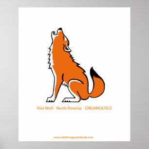 Loup - affiche
