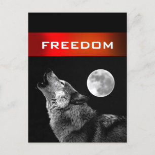 Loup blanc noir hurle sur la carte postale Liberté