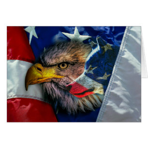Loup d'aigle patriotique américain