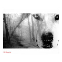 Loup en forêt Poster DarkSpectrum original