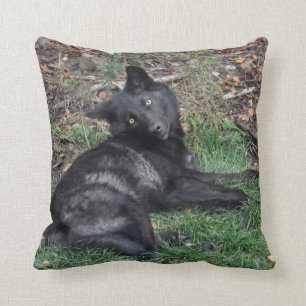 Loup gris-noir levain animal oreiller à lancer