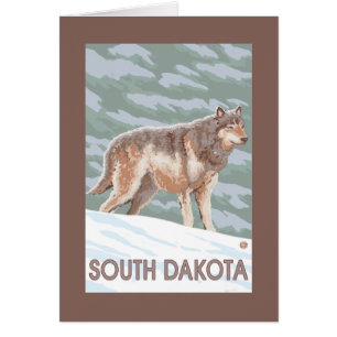 Loup gris StandingSouth Dakota