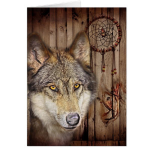 Loup indien indigène de receveur rêveur occident