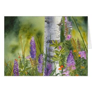 Loupins und Birkenbäume