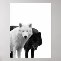 Loups Noir Blanc Cabane Rustique Affiche Photo